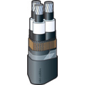 AXCEQ-LT 24 kV
